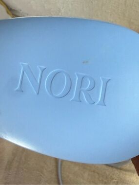NORI Press Travel Steam Iron Hair Straightener Blue Compact Garment Steamer